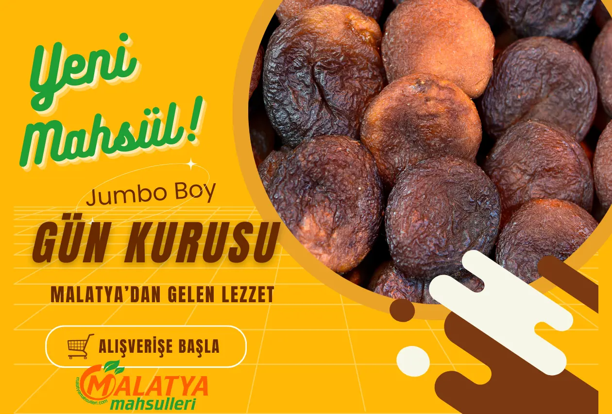 Malatya Yeni Mahsul Gün Kurusu