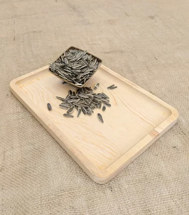 Tuzsuz Ay Çekirdeği